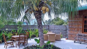 Zona de pati amb una palmera, taula de fusta i caires, i un petit jardí amb plantes.