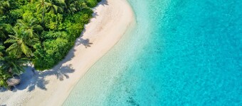 ฟานฮา มัลดีฟส์