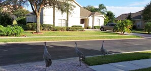 House, 5 Bedrooms | Property grounds