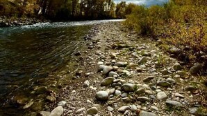 Un río con aguas claras que fluyen sobre un lecho rocoso, rodeado de árboles y bajo un cielo nublado.