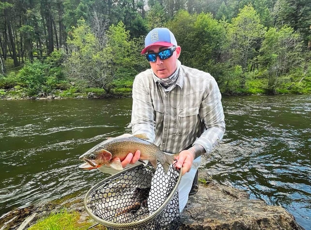 Hannon House by null