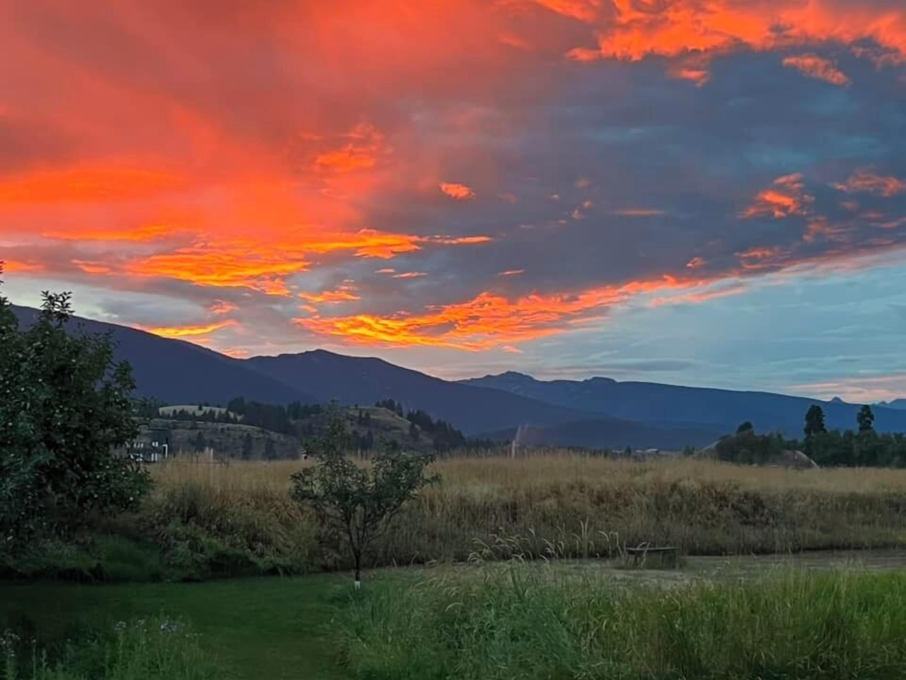 Landskab med solnedgang, bjerge og en mark med et lille træ.