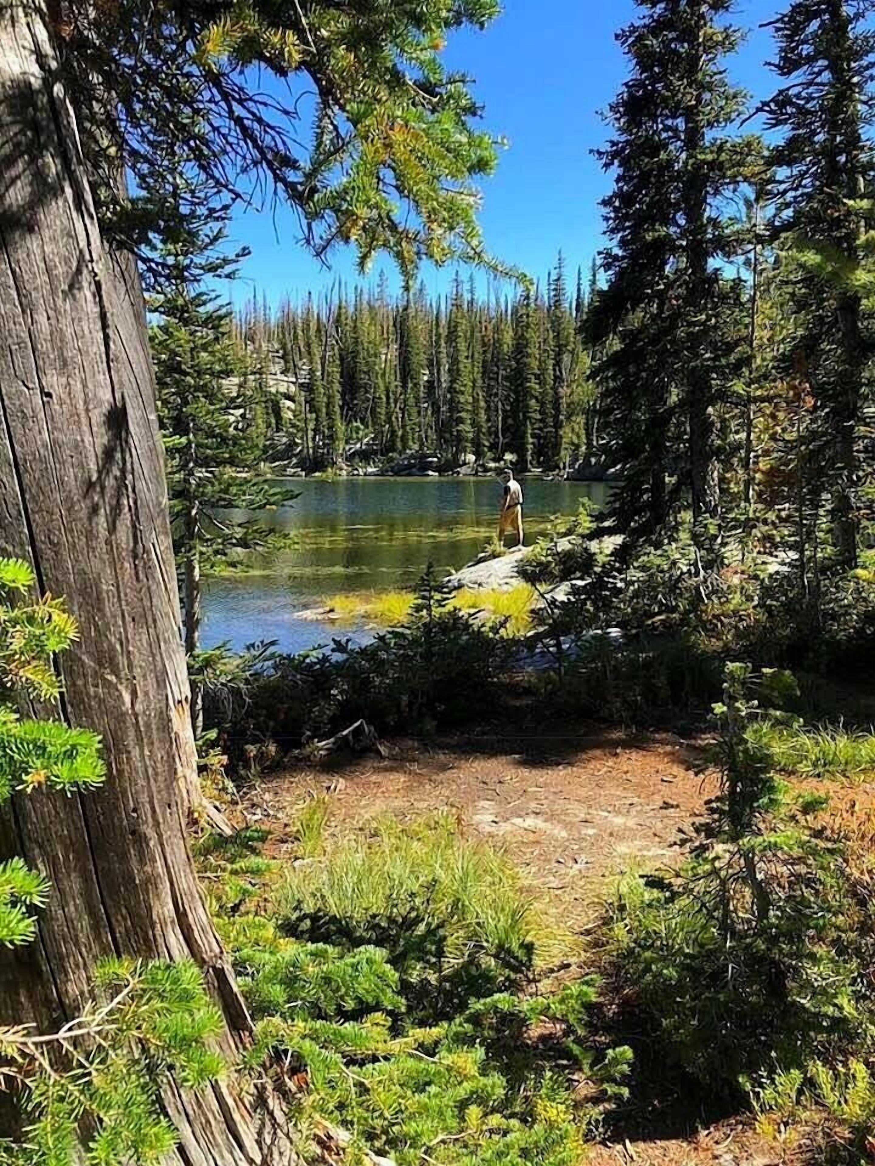Un paisaje natural con un lago, un bosque denso y una persona de pie junto al agua.
