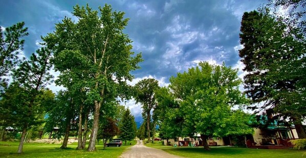 Une rue résidentielle bordée d’arbres et de maisons.
