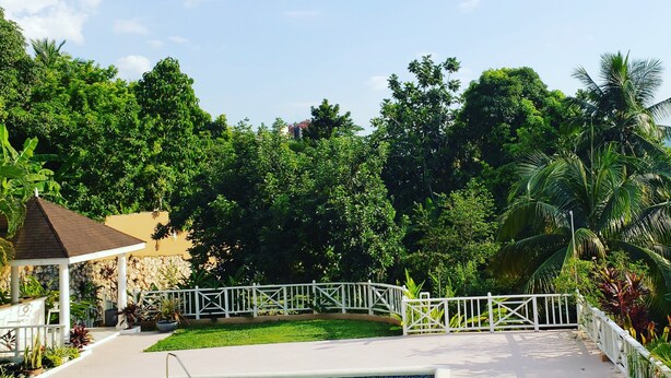 A swimming pool with a white deck, surrounded by lush greenery and a white fence. - Millsborough B&B (Kingston)
