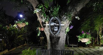 Millsborough B&B