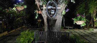 Millsborough B&B