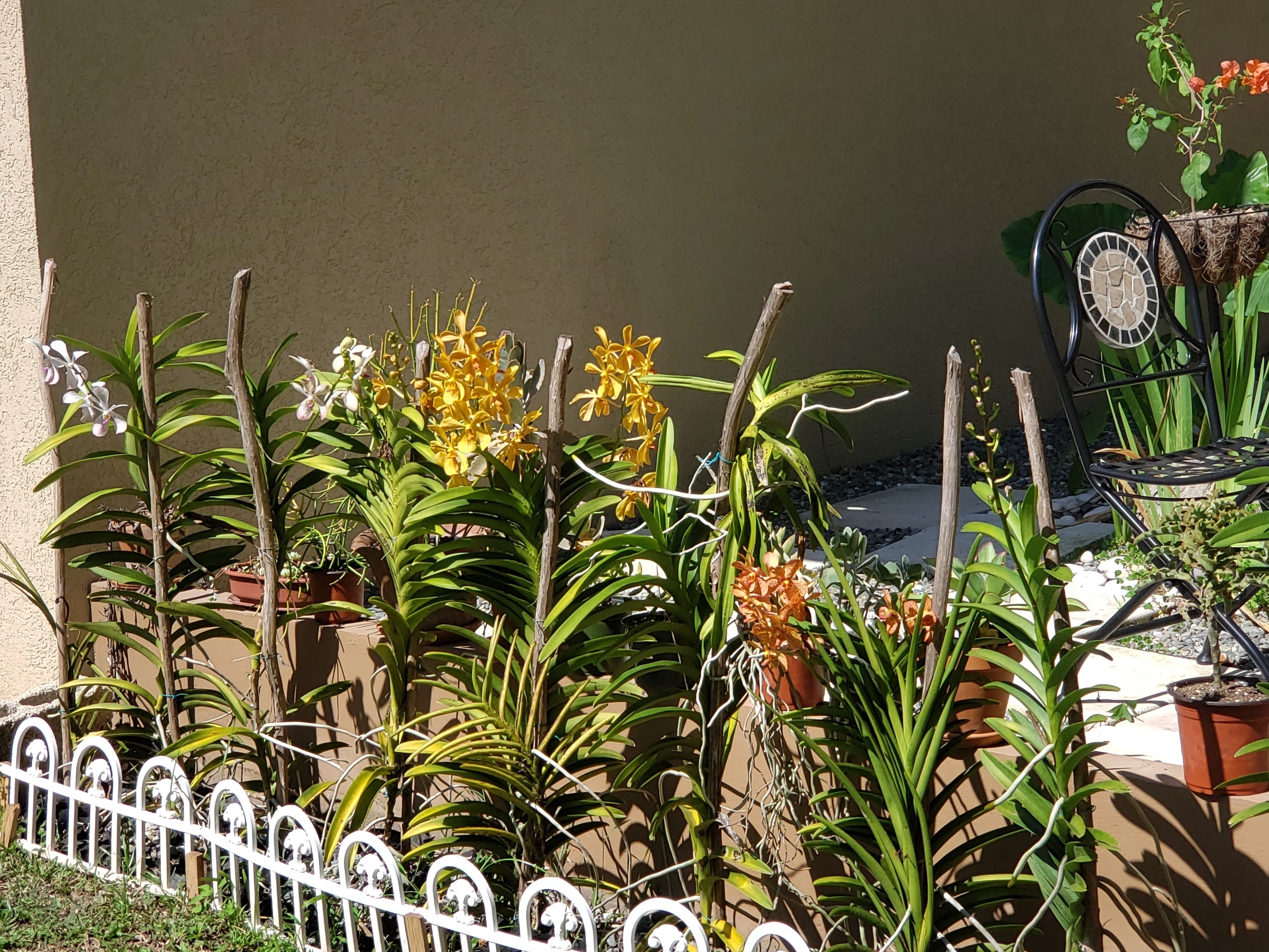 A garden with various potted plants and a white metal fence.