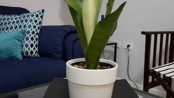 Een potplant op een glazen tafel in een woonkamer met een blauwe bank en gestreepte kussens.