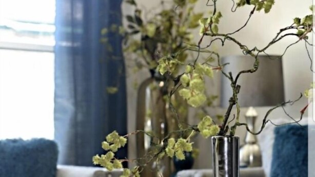 Un salon avec une table basse en verre, un vase en métal orné de branches, une petite plante en pot et une bibliothèque.