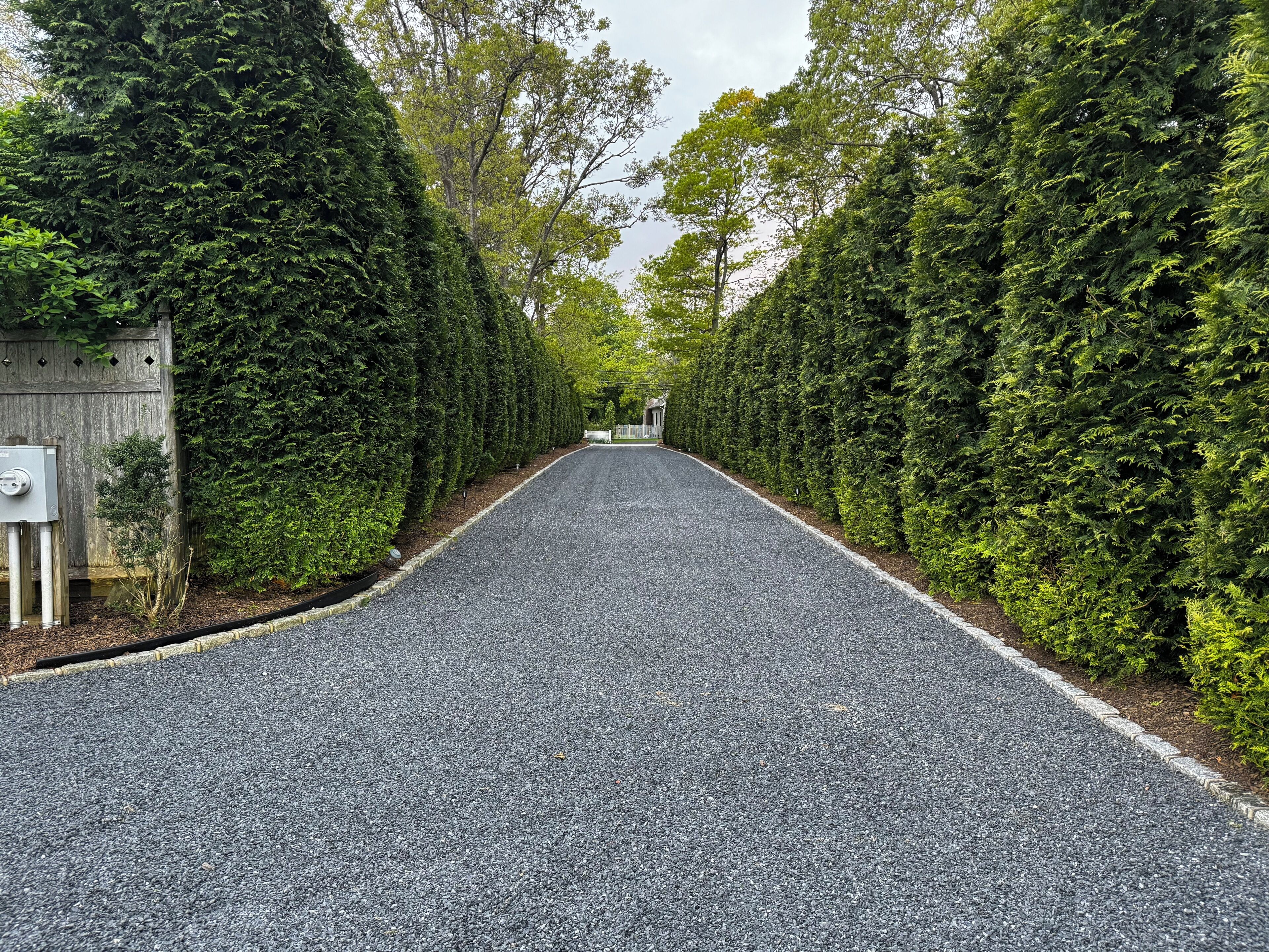Une route asphaltée bordée de haies denses et hautes.