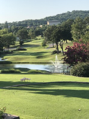 Golf - Condo with screened porch on the bluffs of Lake Taneycomo! (Branson)