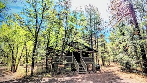 Ein rustikales Blockhaus mit einer Holzterrasse und Treppe, umgeben von dichtem Wald.