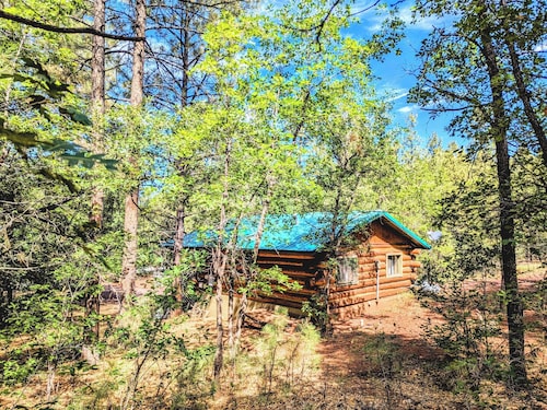 Charming Log Cabin in Tall Pines w/ Large Deck