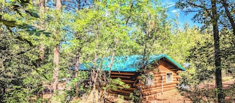 Cozy Cub Log Cabin - Privado 1 Acre / Cubierta grande / Rústico / Silencioso / Área boscosa privada