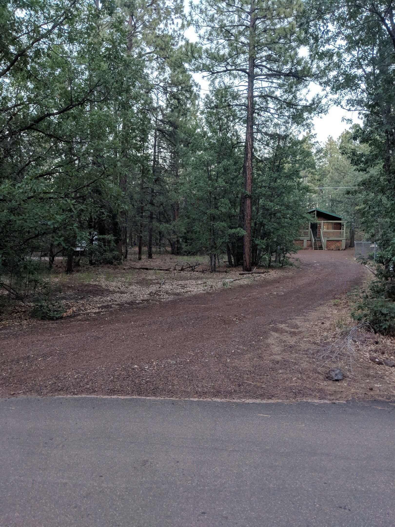 A forested area with a dirt path leading to a cabin with a porch.