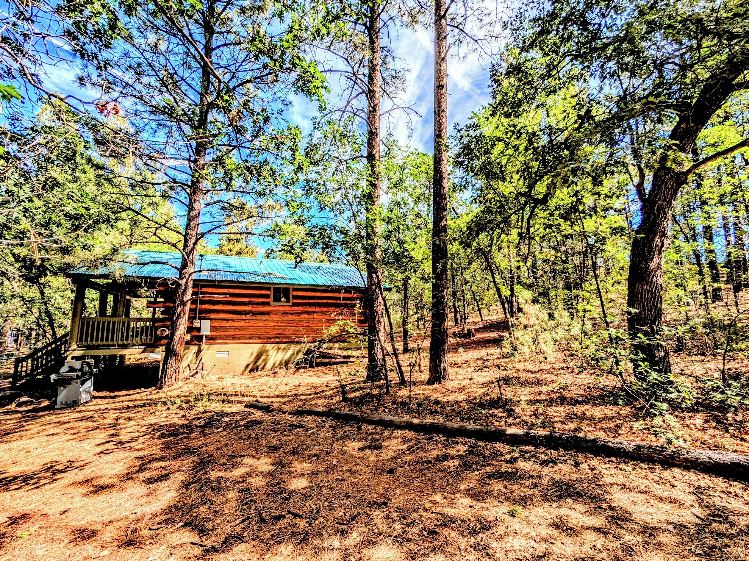 Une cabane rustique aux murs en bois et au toit bleu, entourée d’une zone boisée.
