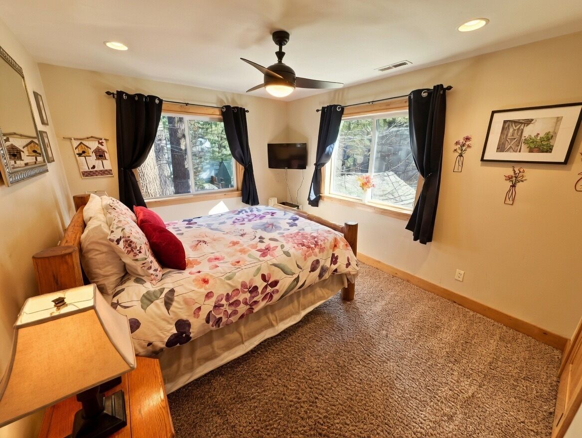 A bedroom with a bed, a ceiling fan, a TV, and windows with curtains.