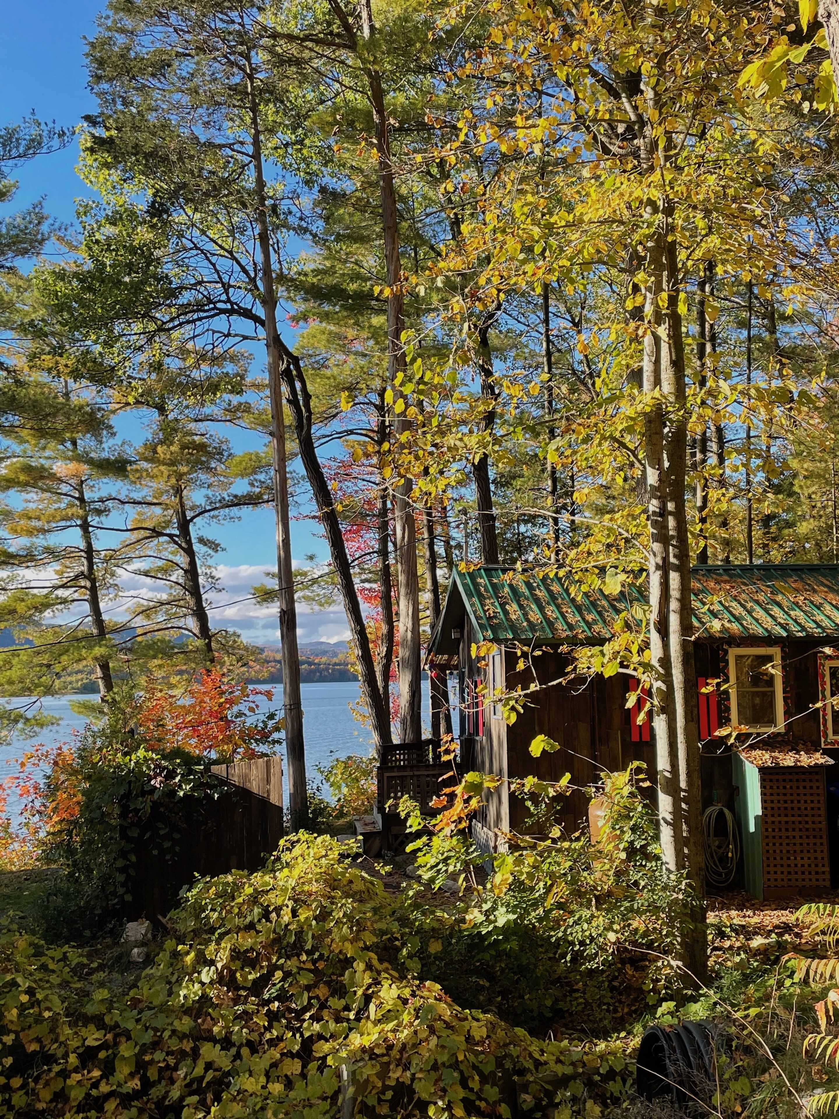 Área da propriedade