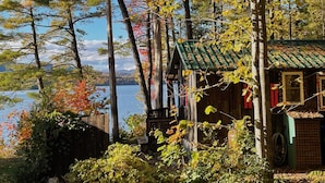 A cabin with a green roof, surrounded by trees and foliage, overlooking a body of water.
