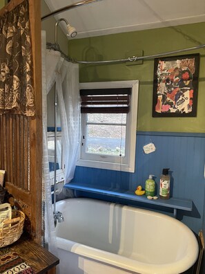 Bathtub, hair dryer, shampoo, toilet paper