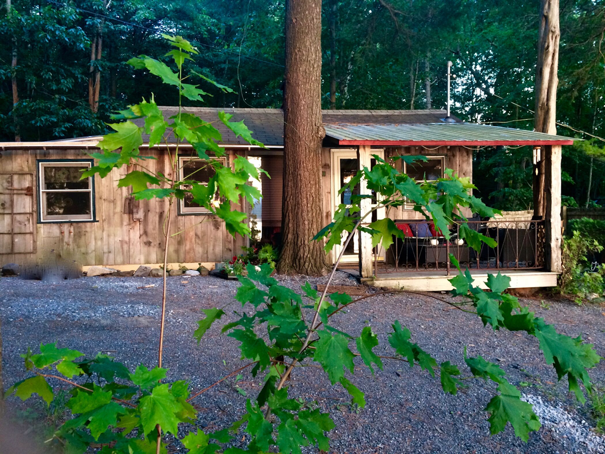 Top 10 PetFriendly Rentals In Vermont, USA Updated 2024 Trip101