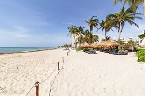 Beach nearby - Ocean View Penthouse at The Elements by BRIC (Playa del Carmen)