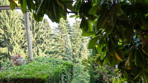 Una escalera de piedra que conduce a un sendero rodeado de exuberante vegetación y un muro de piedra.