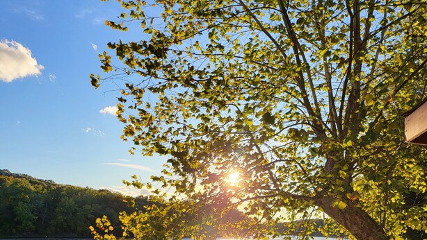 A wooden deck with a railing overlooking a lake, surrounded by trees with yellow leaves. - PROMO 5% WEEKLY AND 10% MONTHLY DISCOUNT!
Beautiful river in front of home (Falling Waters)