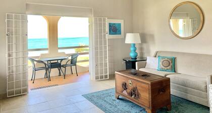 Face à l'océan spacieux One Bedroom Apt deux minutes à pied de la plage