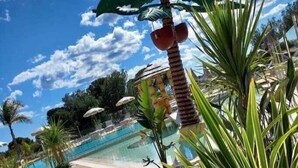 Uma área à beira da piscina com espreguiçadeiras, uma palmeira e um guarda-sol decorativo.