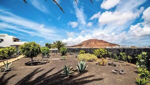 Un giardino curato con diverse piante e una montagna sullo sfondo.