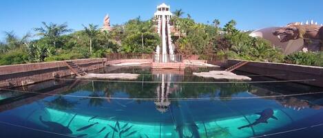 Piscine couverte, piscine extérieure