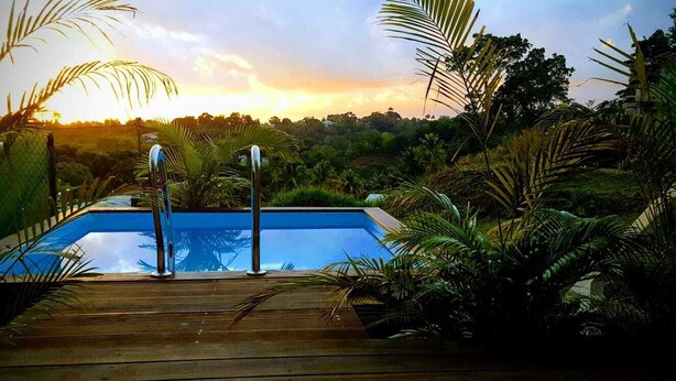 Una terraza de madera que conduce a una piscina rodeada de abundante vegetación y palmeras.