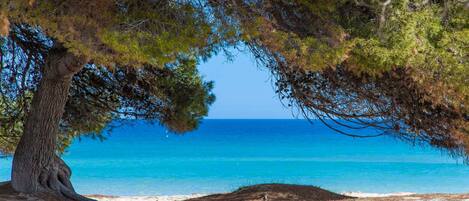 Accommodatie ligt op het strand