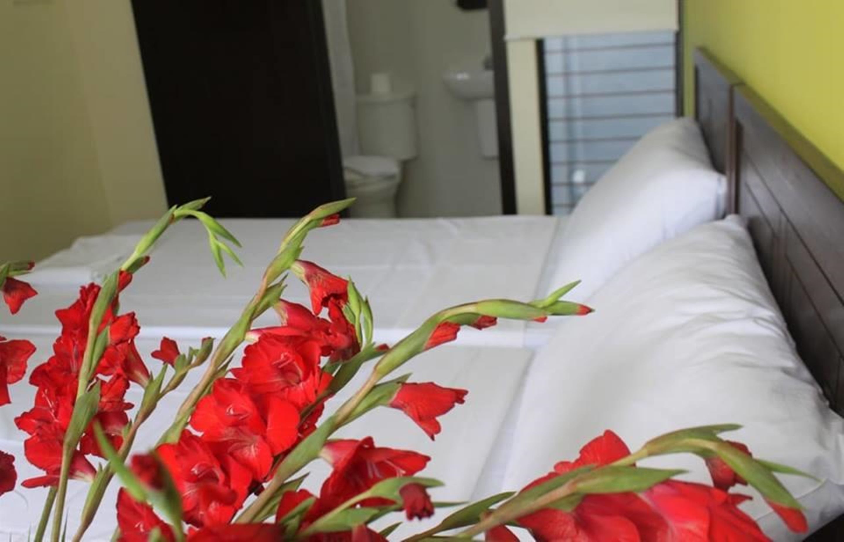 standard twin room | iron/ironing board, rollaway beds, free wifi, bed sheets