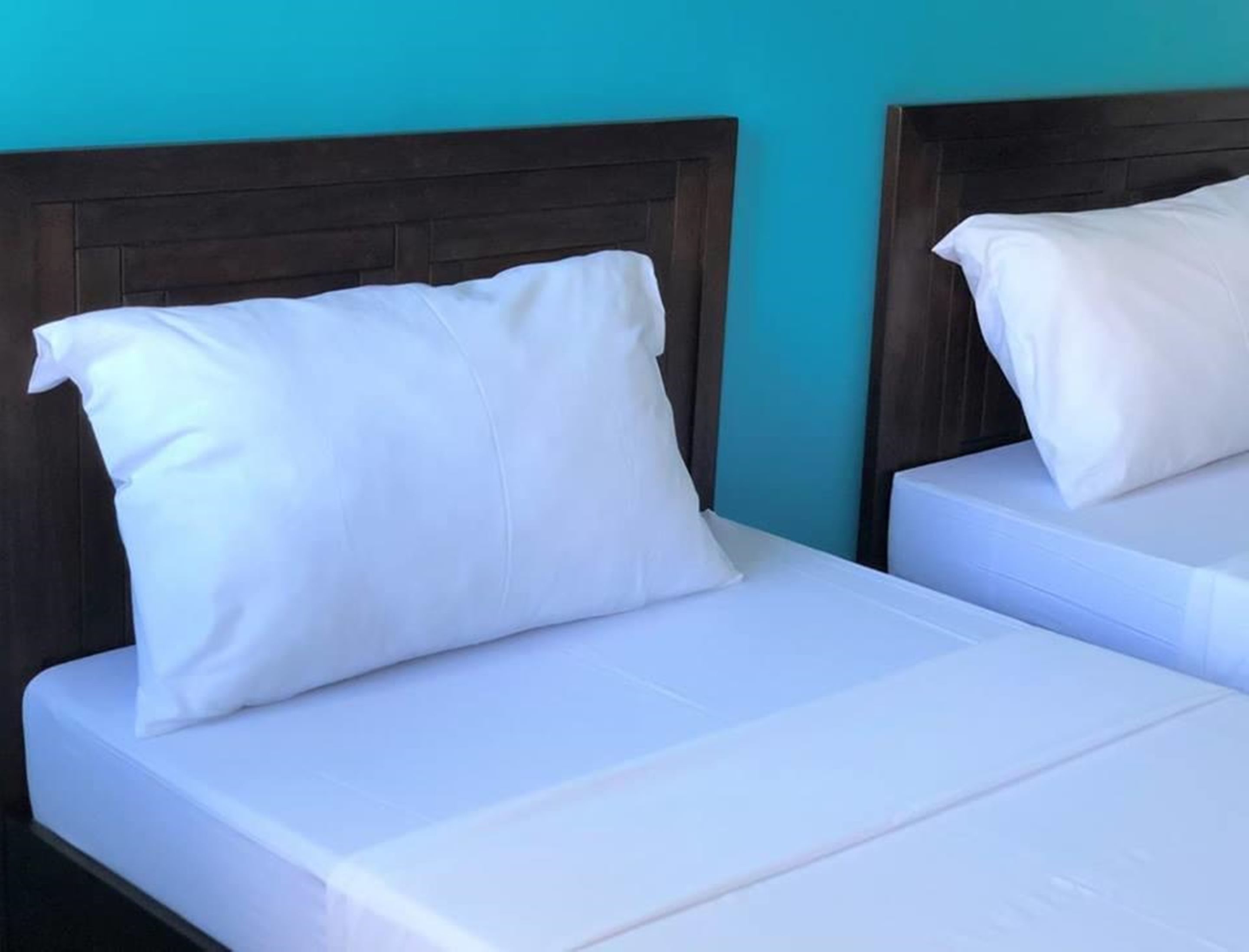 standard twin room | iron/ironing board, rollaway beds, free wifi, bed sheets