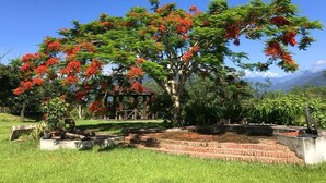Un jardín con un árbol grande, un pabellón y un camino de piedra.