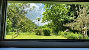 Vista desde una ventana a un exuberante jardín con árboles y arbustos diversos.