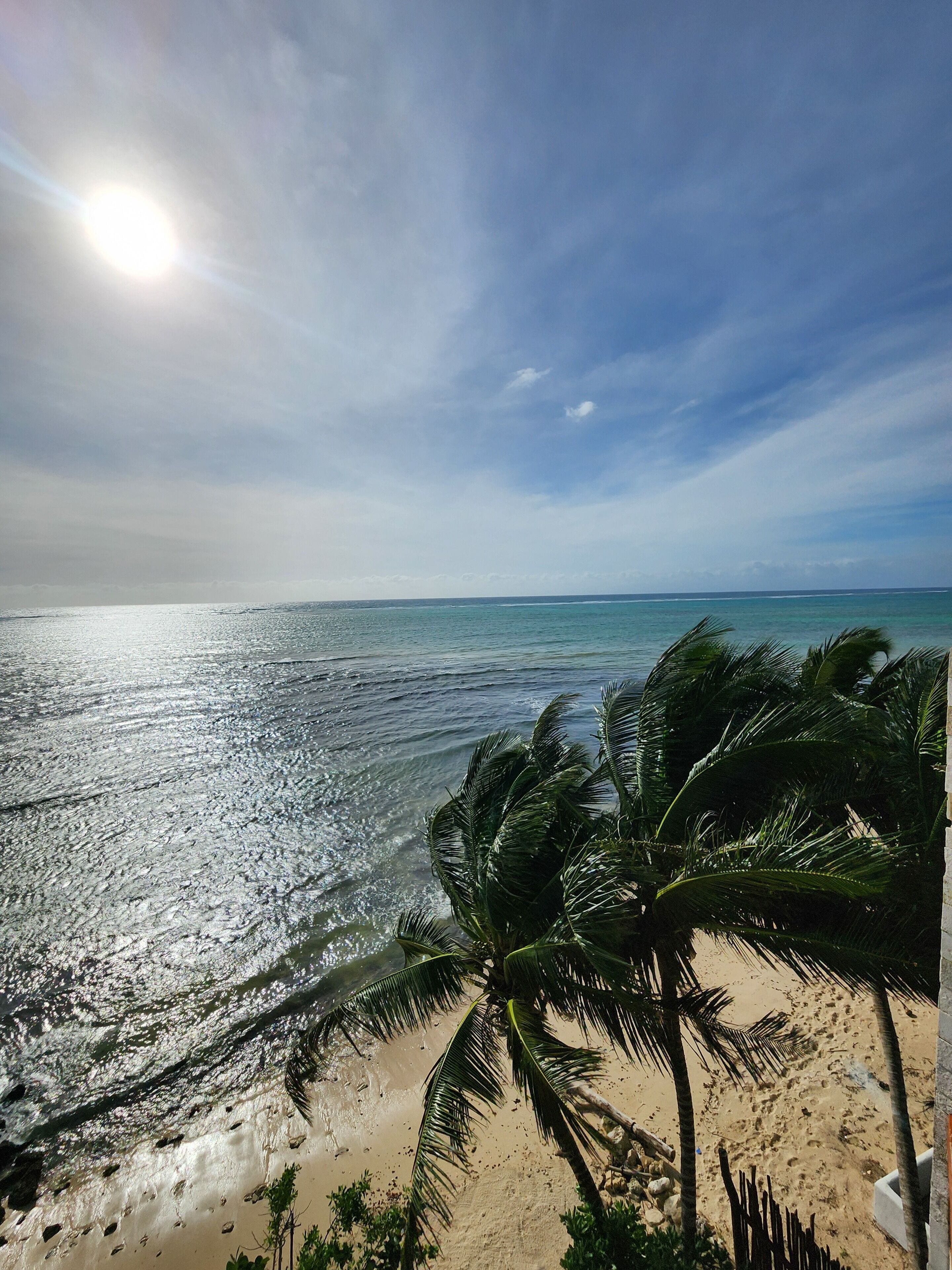 Una playa con palmeras y cielo despejado.