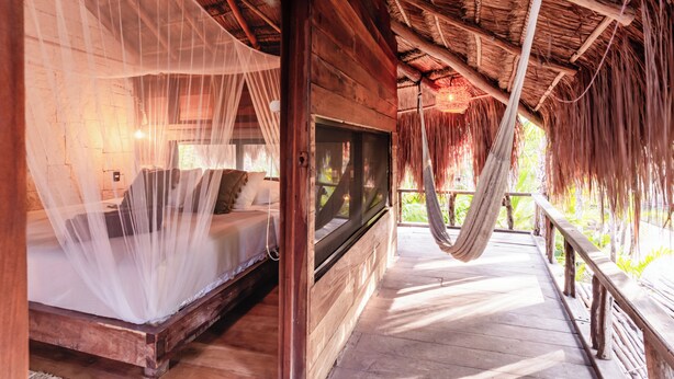 A wooden room with a bed under a mosquito net, a TV, and a hammock. - Vida Silvestre Tulum (Tulum)