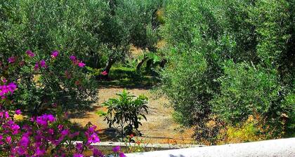 La Luna Blu Apartment "Luna", sea view, 500 meters from the beach