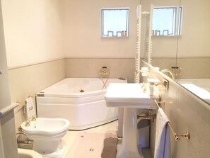 Combined shower/bathtub, jetted bath, hair dryer, bidet