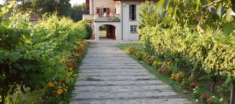 Romantic farmhouse in Monferrato wine district