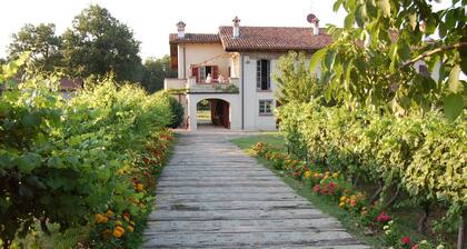 Romantic farmhouse in Monferrato wine district
