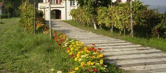 Romantic farmhouse in Monferrato wine district