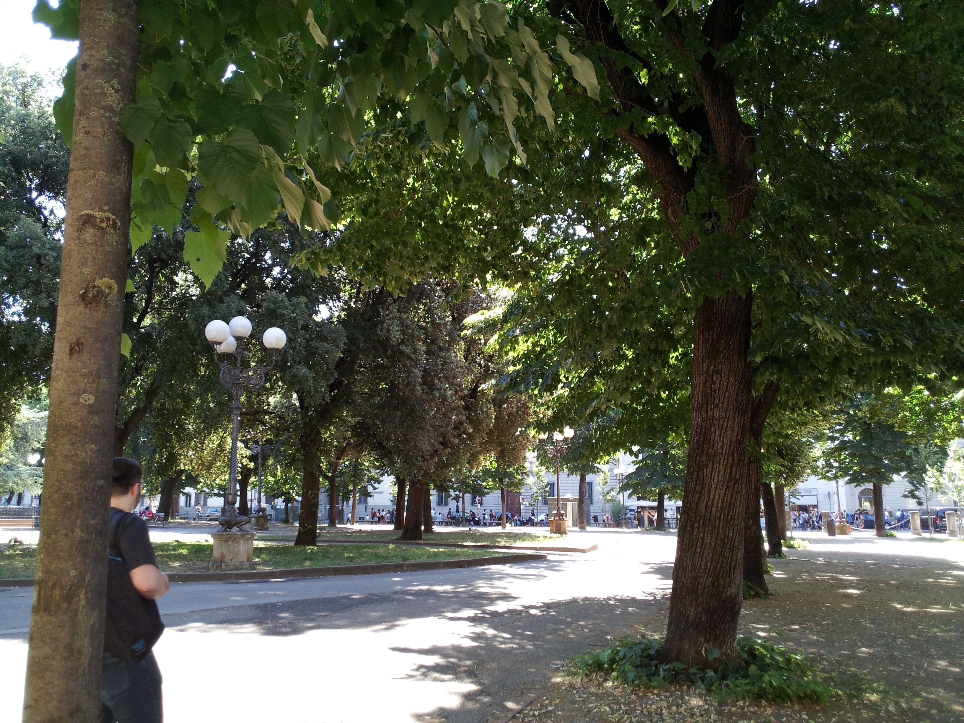 A park with trees, a street, and a lamp post.