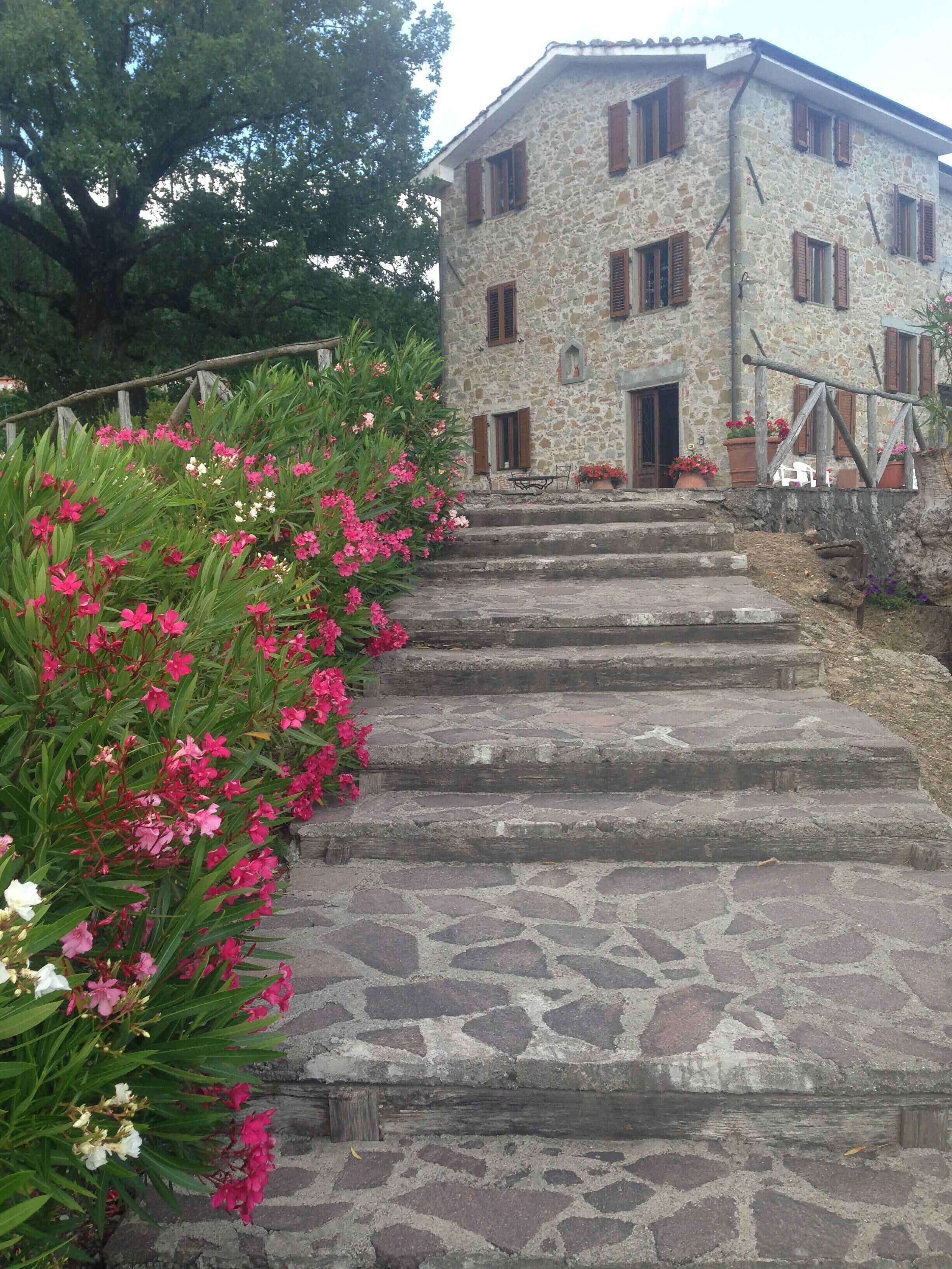 Àrea exterior de l'allotjament