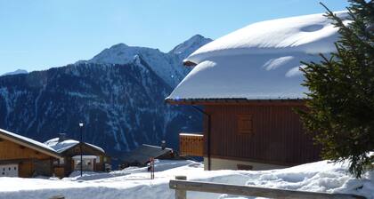 Apartment 4/5 people at the foot of the slopes