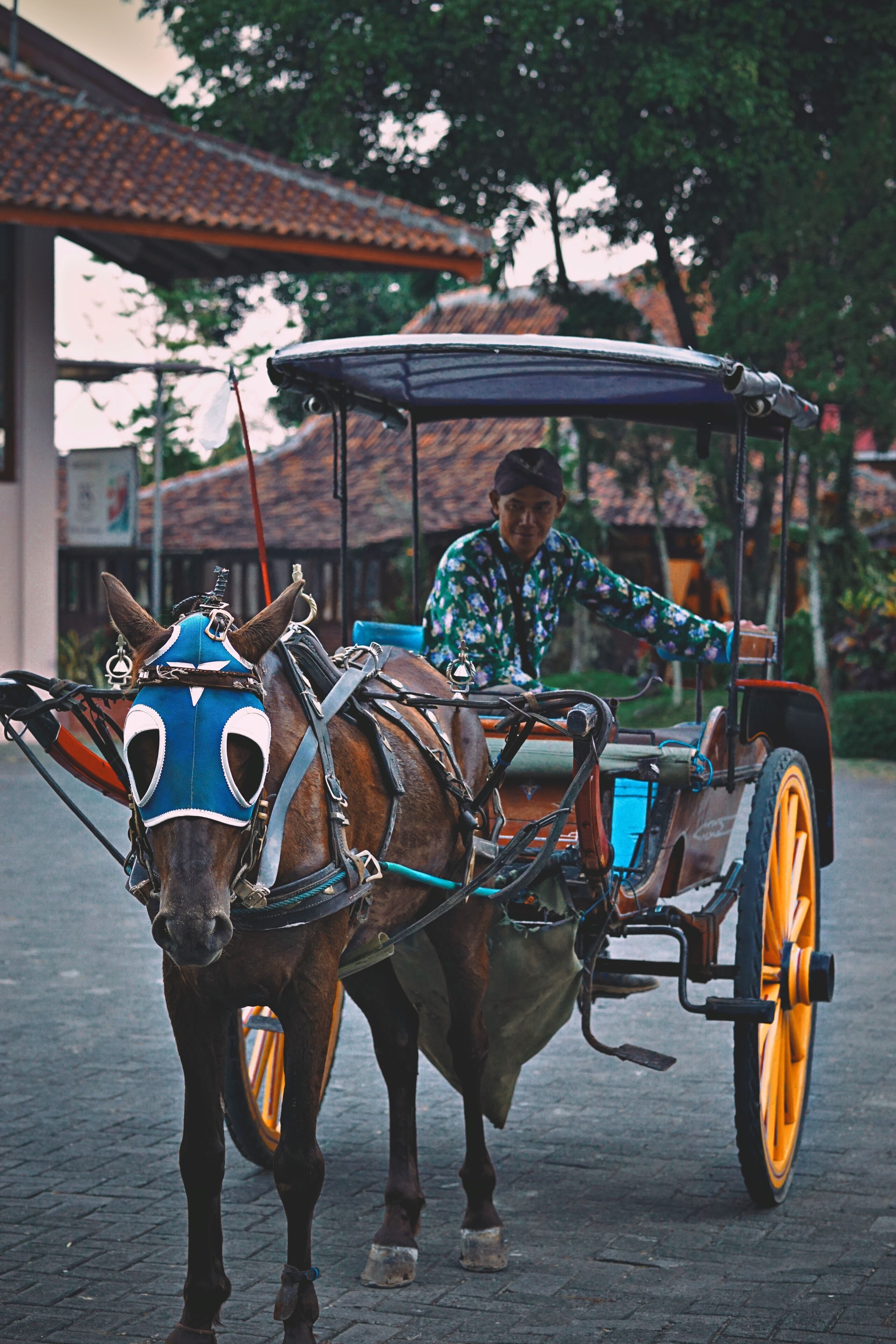 A horse-drawn carriage with a driver, a horse wearing a blue mask, and a traditional building in the background.
